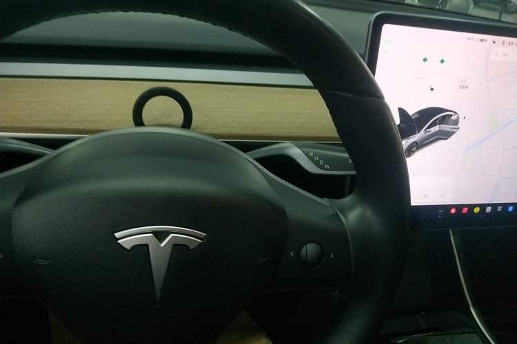 Used Tesla Model 3 (Import) 2019 Long-Range Rear-Wheel-Drive Version