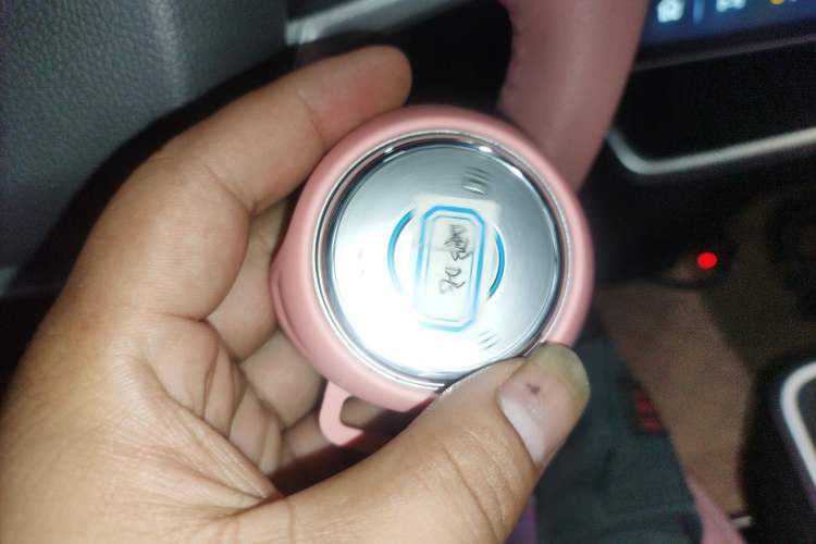 Used NETA V 2022 Chao 400 Lite Pink Custom Edition Vehicle Key