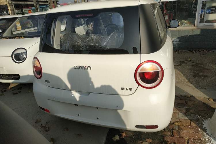 Used Qiyuan Lumin 2025 205 km Xiangqin Version
