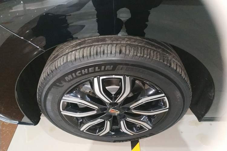 Used Hongqi HQ9 2023 2.0T Smart Connect Flagship Edition