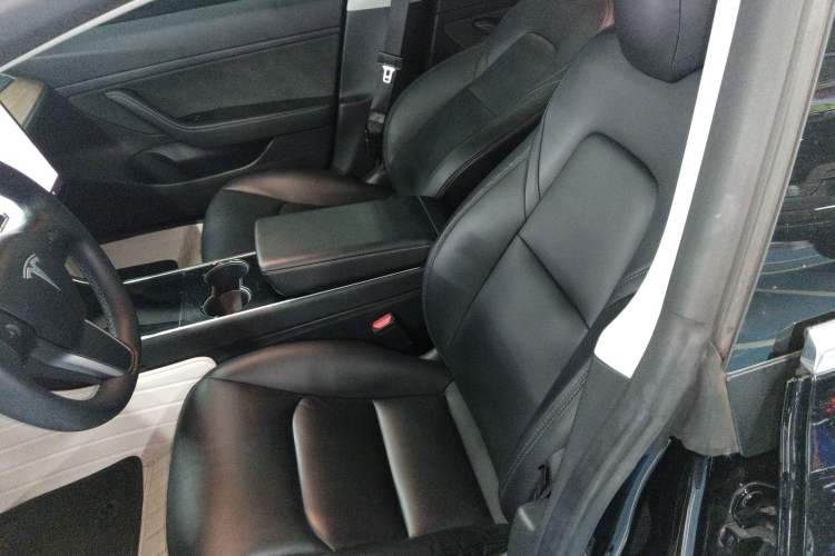 Used Tesla Model 3 2020 Standard Range Rear-Wheel Drive Upgraded Version