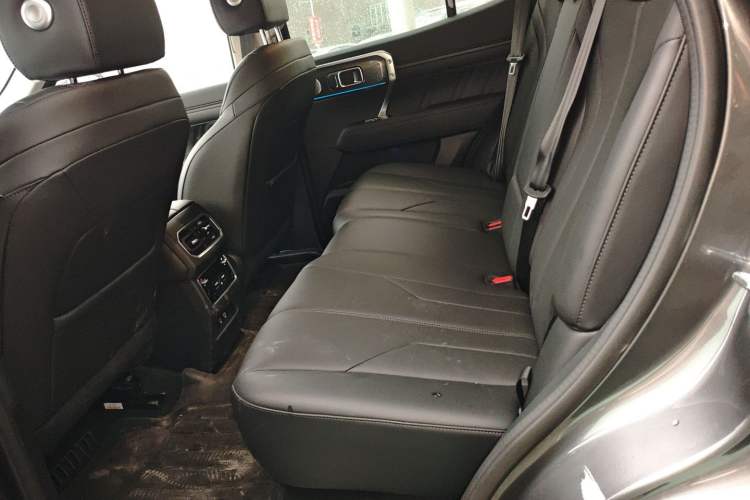 Used Tank 400 2025 2.0T Gasoline Version