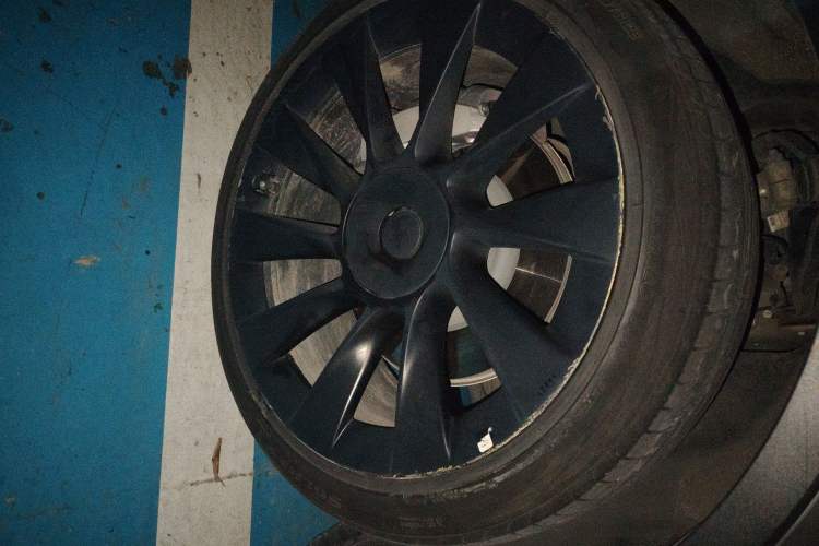 Used Tesla Model Y 2021 Long-Range All-Wheel-Drive Version