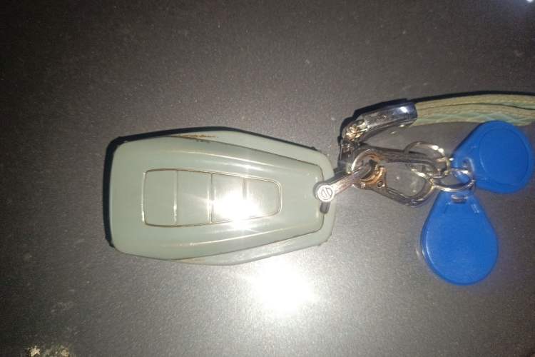 Used Geely Auto Monjaro L 2021 2.0TD DCT EVO Two-Wheel-Drive Flagship Version