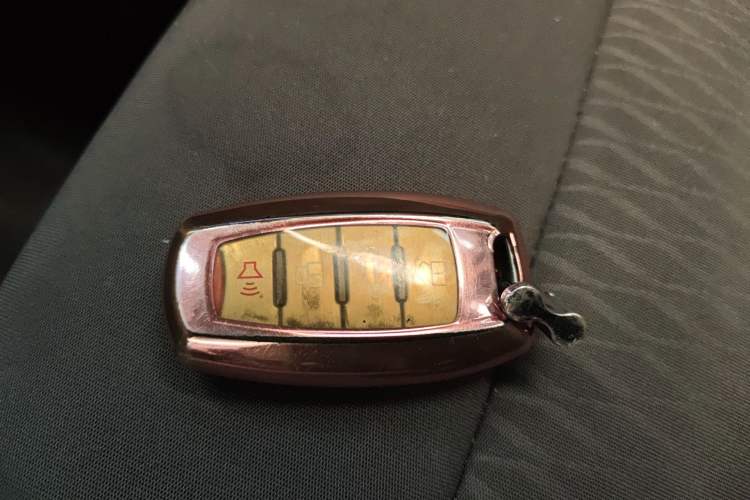 Used ORA Black Cat 2021 351 km Luxury Version
