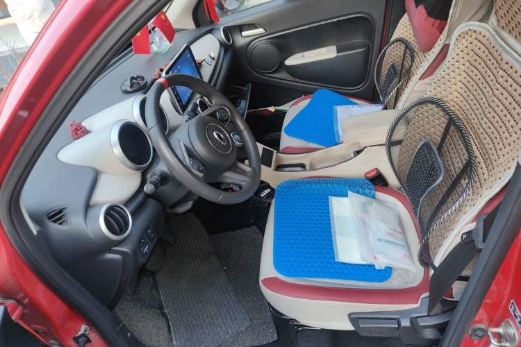 Used ORA Black Cat 2021 351 km Luxury Version