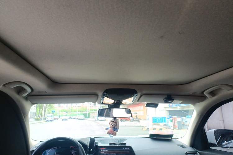 Used BMW 3 Series 2020 325Li First Edition Headliner