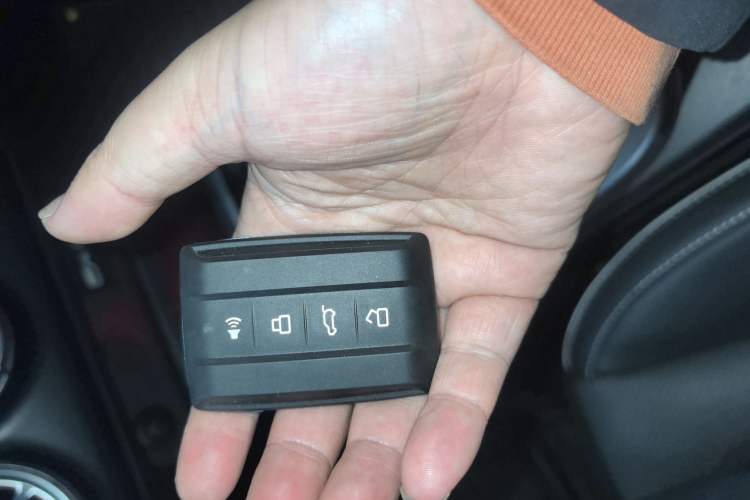 Used Tank 300 2021 Off-Road Edition 2.0T Conqueror Interior 1