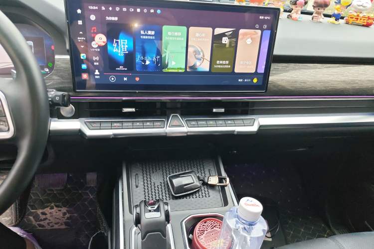 Used Tank 400 New Energy 2024 Hi4-T City Edition