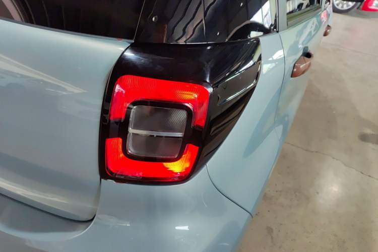 Used SOL E10X 2022 Flower Fairy Style Baby's Breath