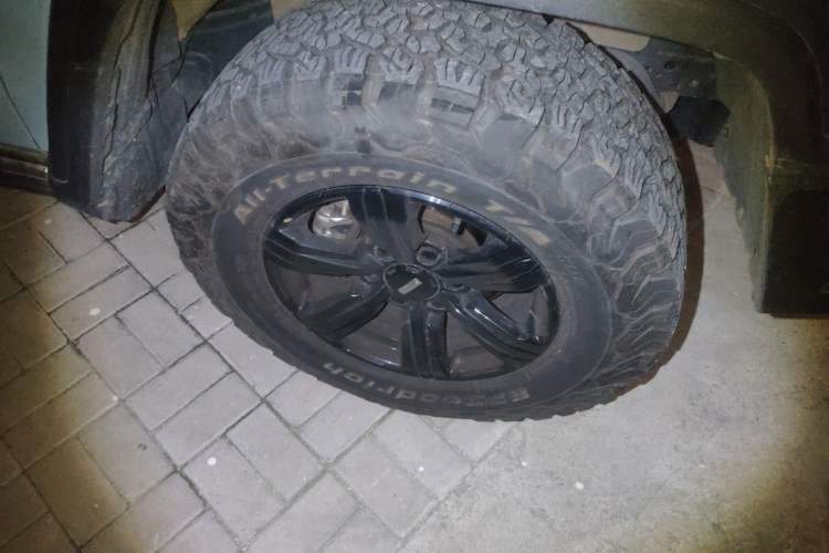 Used Tank 300 2021 2.0T Monet Tribute Limited Edition