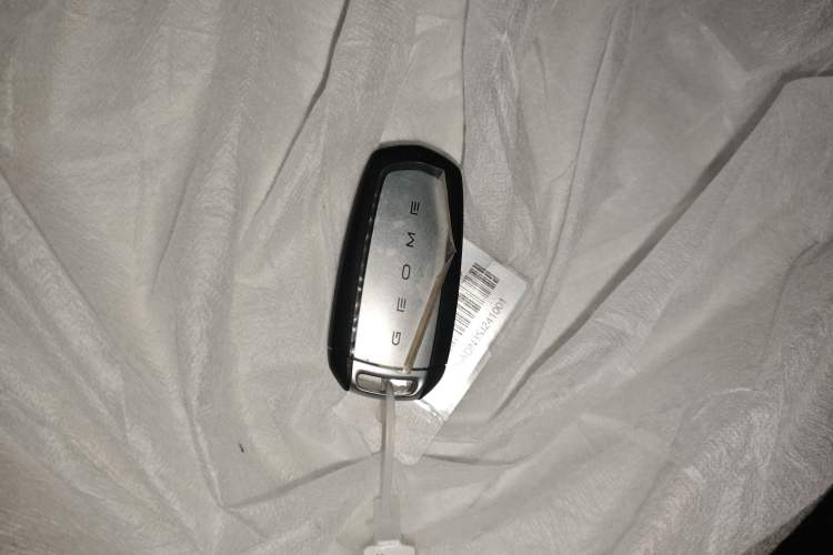 Used Geely Galaxy Panda 2025 210 km – Yuanqi Bear