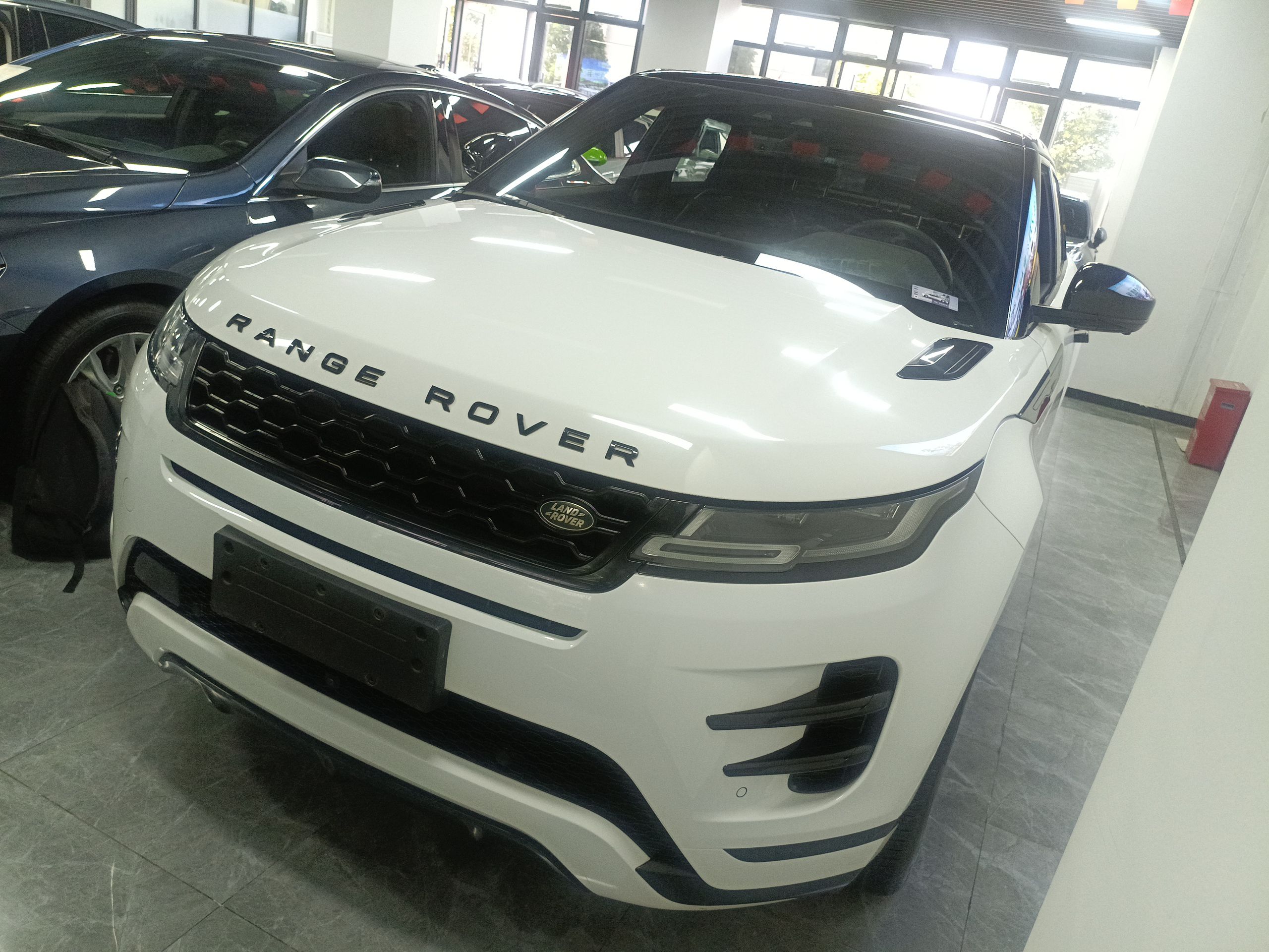 Parte inferior delantera