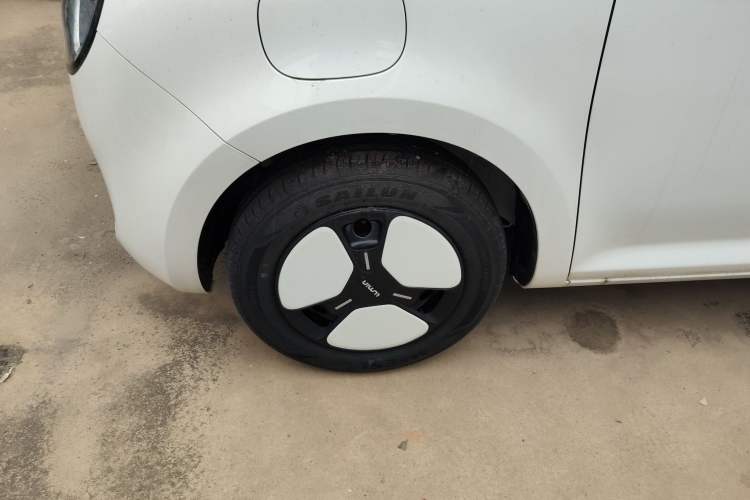 Used Qiyuan Lumin 2023 301km Honey Dew Edition
