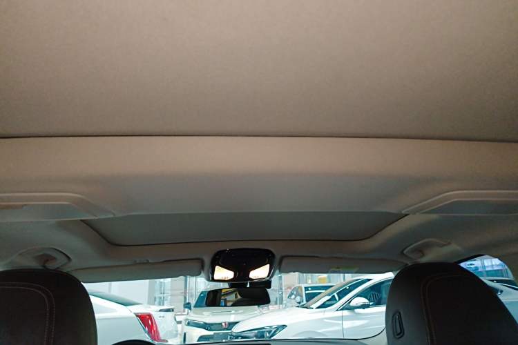 Used BMW 5 Series New Energy 2020 Mileage Upgrade Version 530Le Luxury Package
