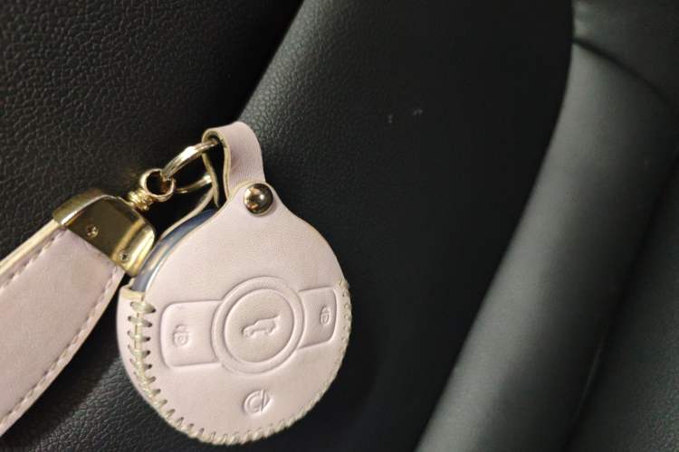 Used smart #1 2022 Pro+ Edition
