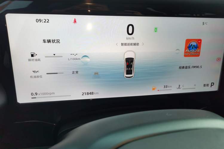 Used Geely Auto Monjaro L 2024 2.0TD High-Power Automatic Two-Wheel Drive Skyline Edition
