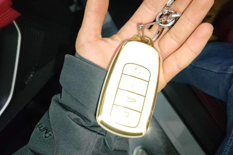 Used EXEED Stellar 2023 400T Two-Wheel Drive Comfort Flyfish Edition