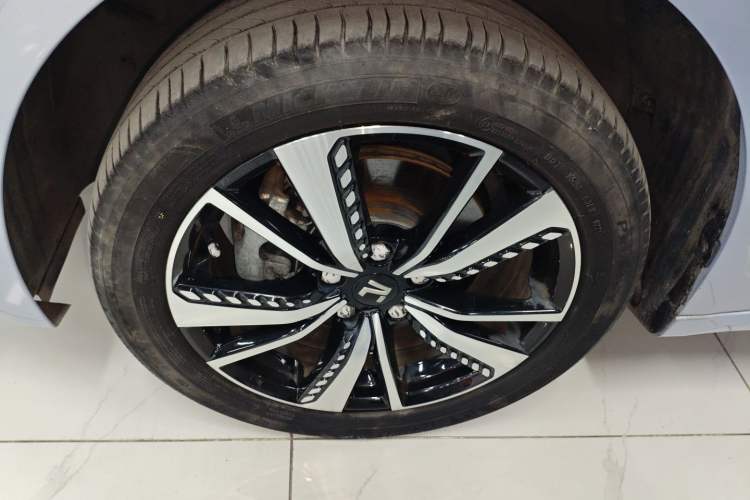 Used Rising ER6 2021 New Dynamic Edition 620km Smart Drive Version
