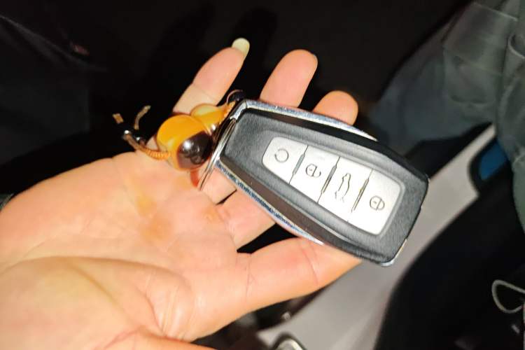 Used Geely Auto Emgrand GS 2019 1.4T CVT Edition