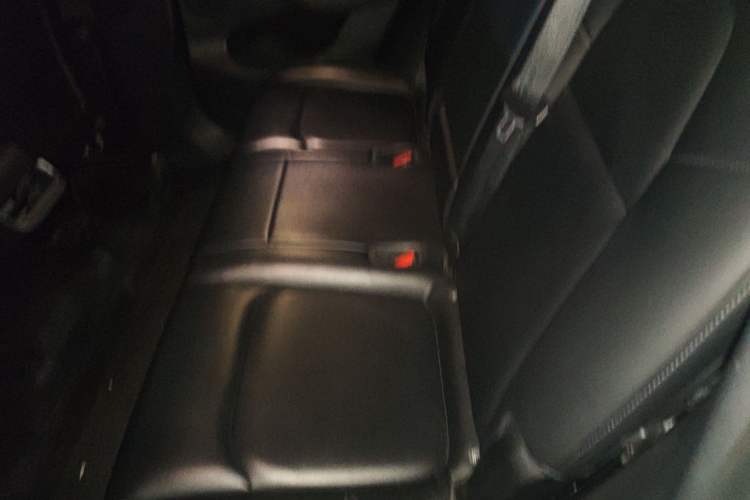 Used Tesla Model Y 2021 Standard Range Rear-Wheel Drive Version Left Rear Seat