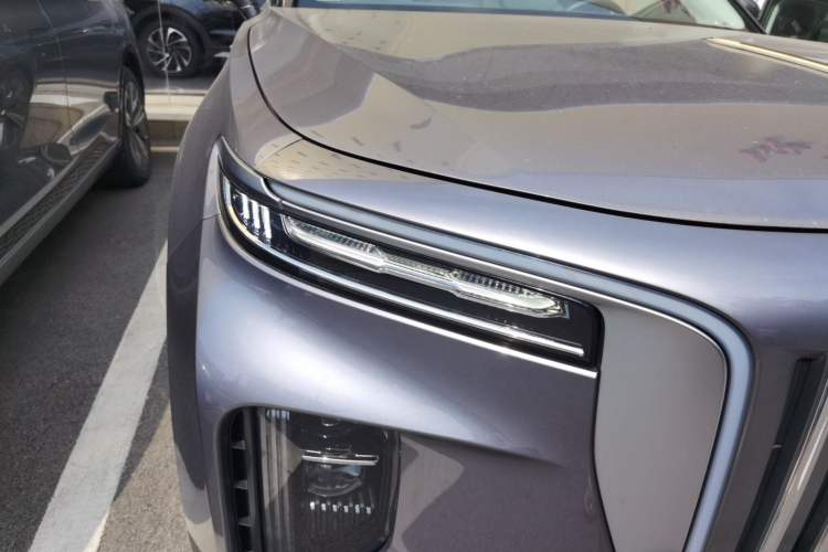 Used Hongqi E-HS9 2021 460 km Range Flagship Edition Six-Seater