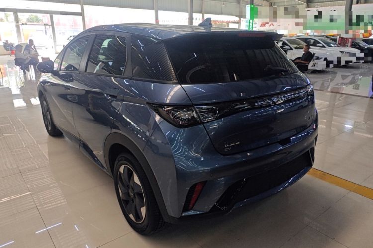 Used BYD Dolphin 2024 Honor Edition 420km Freedom Version