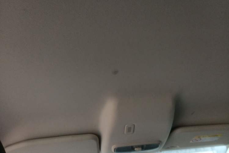 Used Ford EcoSport 2018 1.5L Automatic Elite Edition Headliner