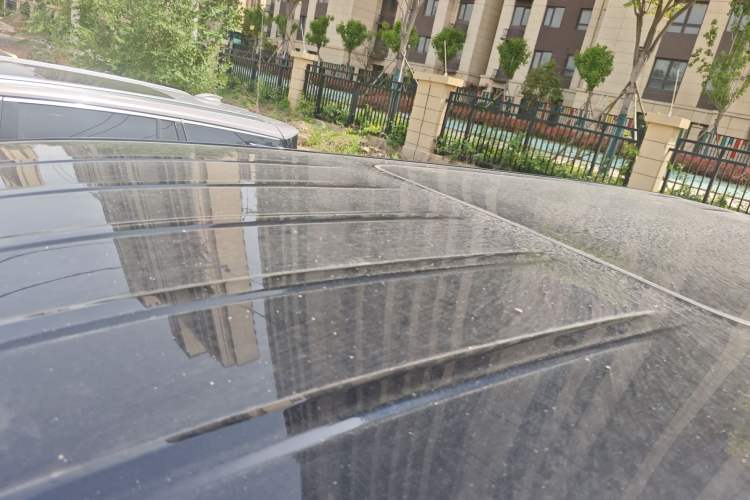 Used Hongqi HQ9 2023 2.0T Smart Connect Flagship Edition