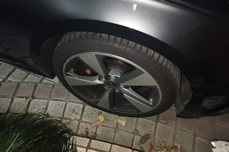 Used Audi S5 2024 S5 3.0T Coupe
