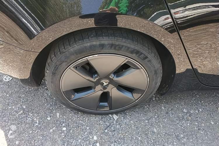 Used Tesla Model 3 2021 Standard Range Rear-Wheel Drive Upgraded Version 3D6
