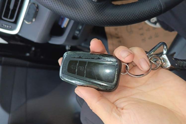 Used Toyota Wildlander 2020 2.0L CVT 4x4 Luxury Edition
