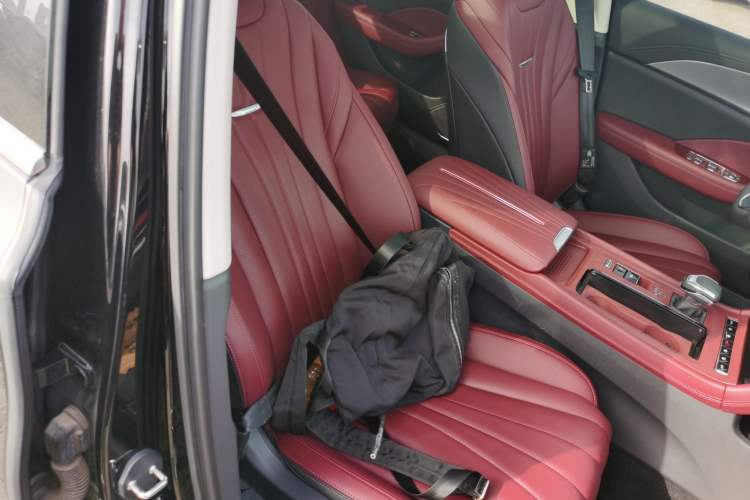 Used Hongqi H5 2024 2.0T Automatic Smart Connect Flagship Edition Right Front Seat