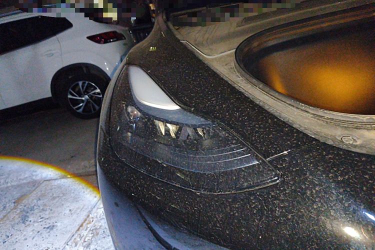 Used Tesla Model Y 2022 Revised Version Rear-Wheel Drive
