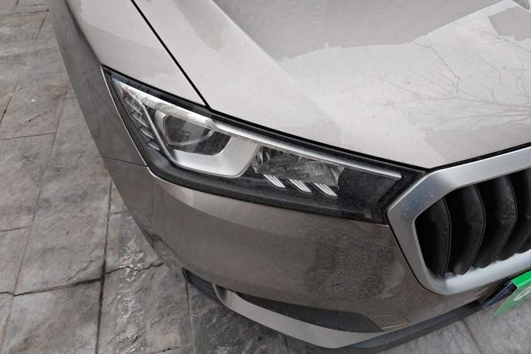 Used BORGWARD BX5 2017 20TGDI Automatic Two-Wheel Drive Leading Edition
