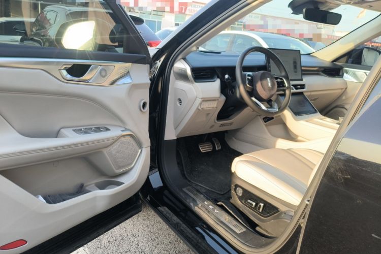 Used Wey Mocha New Energy 2023 Two-Wheel Drive Long-Range Version
