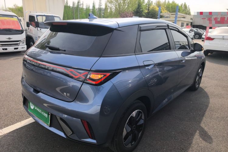 Used BYD Dolphin 2025 420km Free Edition Rear Right 45 Deg