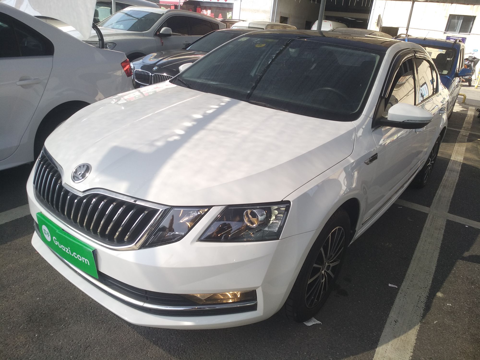 Parte inferior delantera