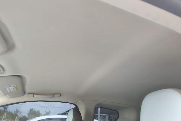 Used Chery QQ Little Ant 2024 251km True Love Edition Headliner