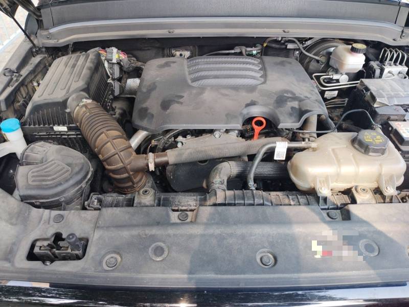 Used Tank 300 2024 2.0T Conqueror — 21