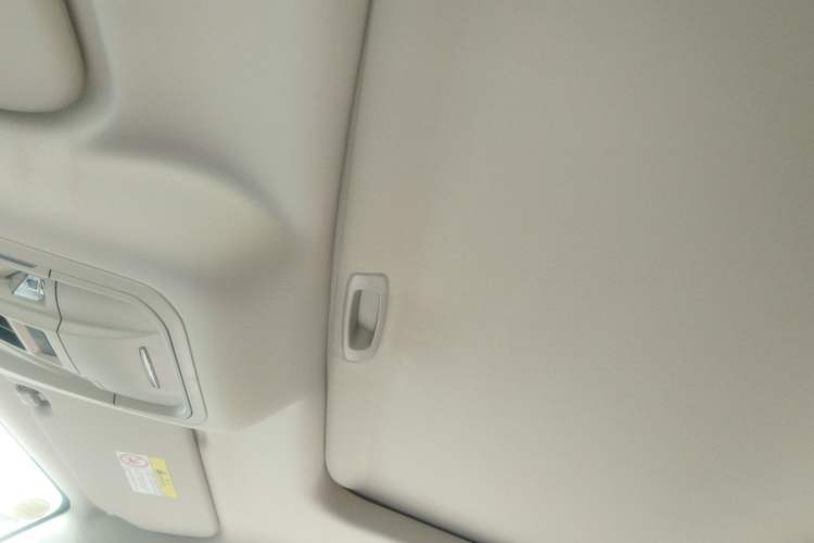 Used Tank 300 2025 2.4T Diesel Version Headliner