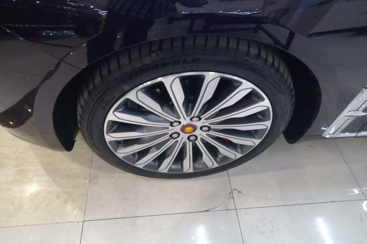 Used Hongqi H9 2020 3.0T Smart Connect Flagship Four-Seat Version Exterior 4