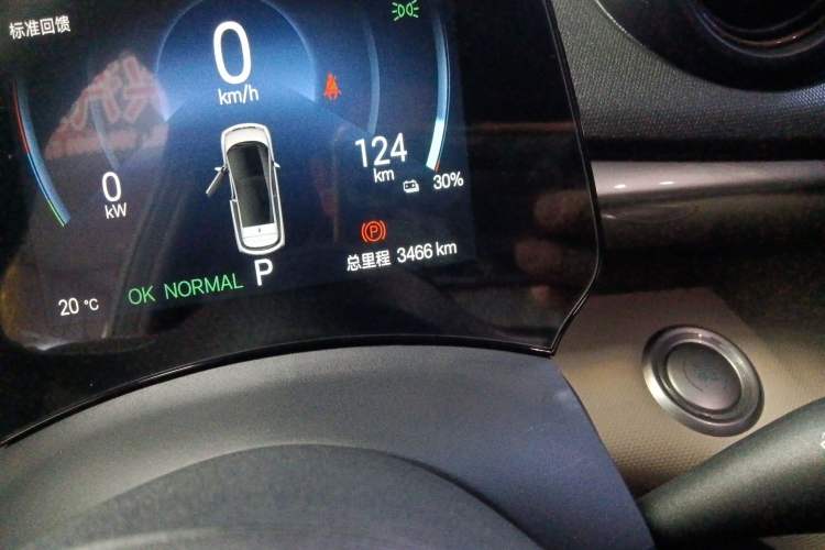 Used BYD Dolphin 2025 420km Free Edition Odometer Close Up