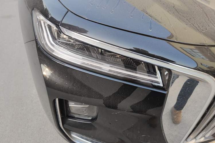 Used Hongqi H9 2020 2.0T Smart Connect Flagship Edition
