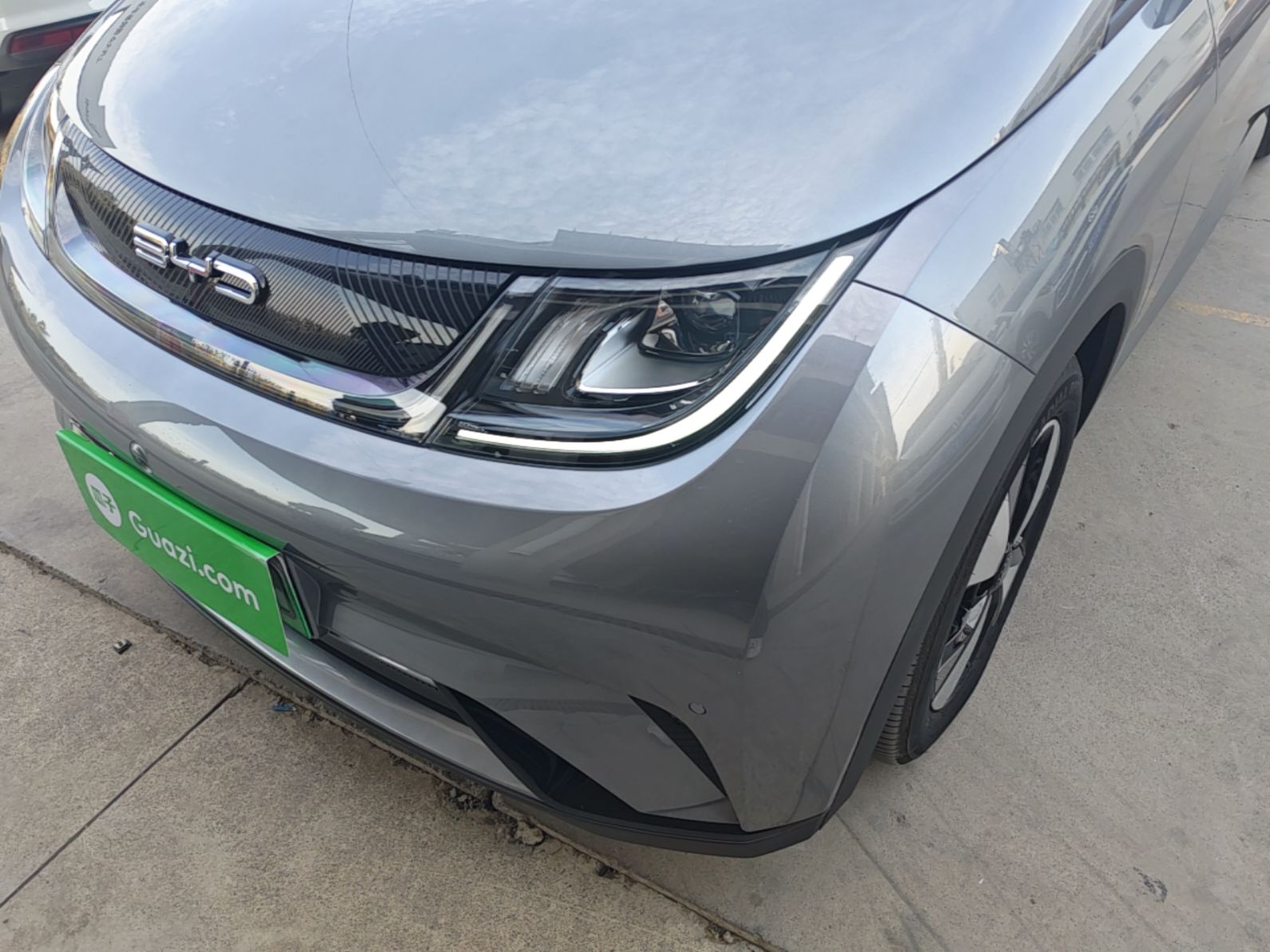 BYD Dolphin 2023 420 km Fashion Edition — снимка 8