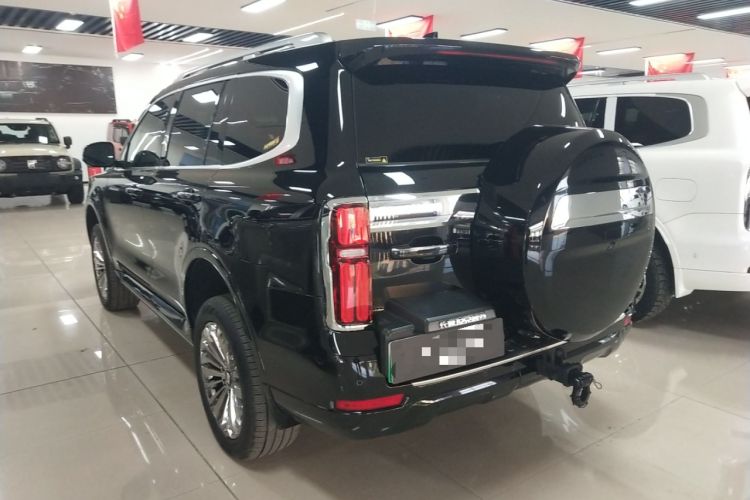 Used Tank 500 New Energy 2024 Hi4-T
