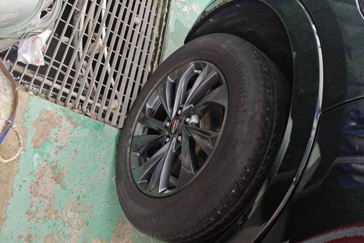 Used Hongqi HS5 2023 2.0T Qixiang Pro Edition Exterior 5