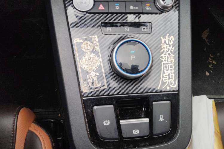 Used BYD e2 2021 Luxury Model
