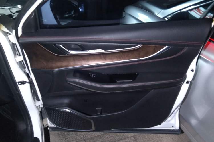 Used EXEED Zhuifeng 2020 Chasing the Waves Edition 1.5T CVT Xingrui Version Right Front Door Interior