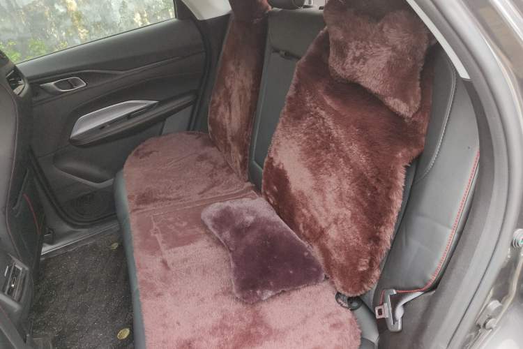 Used CHANGAN OSHAN Z6 2022 Blue Whale 1.5T DCT Smart Navigation Model Left Rear Seat